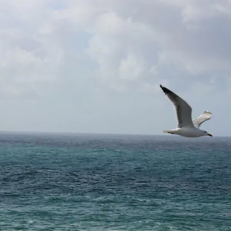 Acogedor Con Vista Al Mar Appartamento