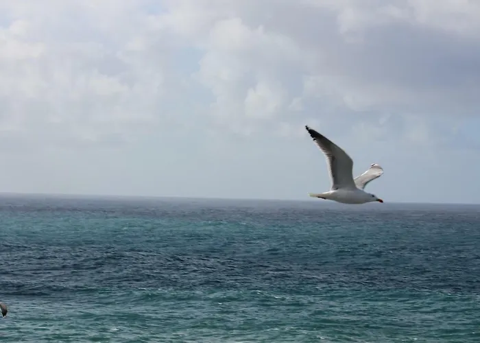 Acogedor Con Vista Al Mar Апартаменты